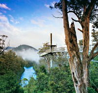Tahune Adventures Tasmania - Accommodation BNB
