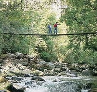Arve Forest Drive - Accommodation BNB