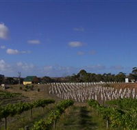 Deep Creek Wines and Alpacas - Accommodation BNB