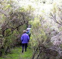 Jack And Hilda McArthur Walk - Accommodation BNB