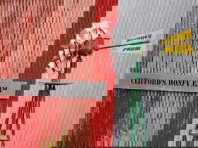 Clifford's Honey Farm - Accommodation BNB 0