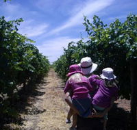 McLaren Vale Orchards - Accommodation BNB