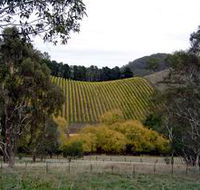 Mt Bera Vineyards - Accommodation BNB