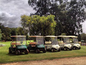 Loxton Golf Club - Accommodation BNB 0