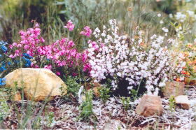 Stokes Bay Bush Garden - Accommodation BNB 0