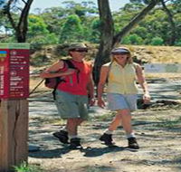 Riesling Trail - Accommodation BNB