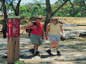 Riesling Trail - Accommodation BNB 0