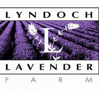 Lyndoch Lavender Farm and Cafe - Accommodation BNB