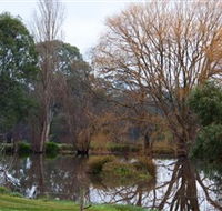Gemtree Wetlands Ecotrail - Accommodation BNB