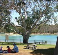 Naracoorte Nature Park and Swimming Lake - Accommodation BNB