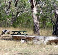 Penola Conservation Park - Accommodation BNB