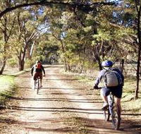 Bike About Mountain Bike Tours And Hire - Accommodation BNB