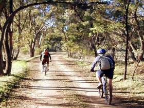 Bike About Mountain Bike Tours And Hire - Accommodation BNB 0