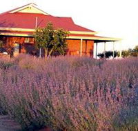 Bella Lavender Estate - Accommodation BNB
