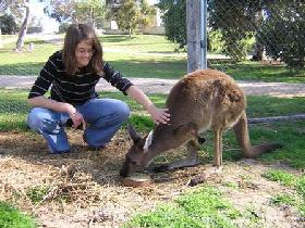 Pendleton Farmstay - Accommodation BNB 0