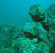 Adelaide's Underwater Heritage Trail - Accommodation BNB