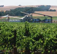 Kirrihill Wines - Accommodation BNB