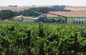 Kirrihill Wines - Accommodation BNB 0