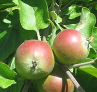 Sage Cooking School - Accommodation BNB