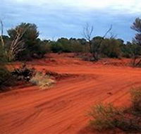 Tallaringa Conservation Park - Accommodation BNB