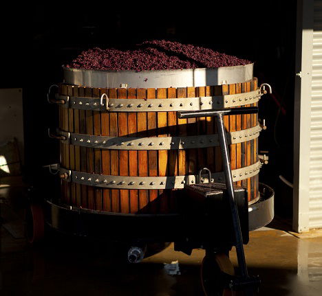 Greenock Creek Wines - Accommodation BNB 1