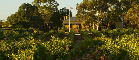 Greenock Creek Wines - Accommodation BNB 2