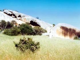 Ucontitchie Hill - Accommodation BNB 0