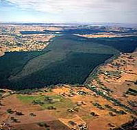 Mount Crawford Forest Reserve - Accommodation BNB
