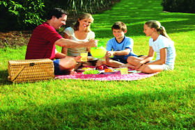 Bruny Island Berry Farm - Accommodation BNB 0