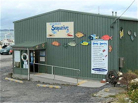 Stanley Seaquarium - Accommodation BNB 0