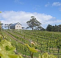 Bruny Island Premium Wines Bar and Grill - Accommodation BNB