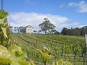 Bruny Island Premium Wines Bar And Grill - Accommodation BNB 0