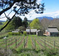 Wilmot Hills Vineyard - Accommodation BNB