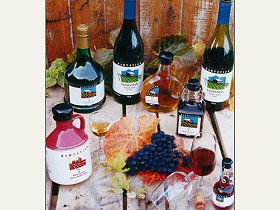 Hartzview Vineyard - Accommodation BNB 0
