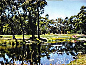 South Forest TAS Accommodation BNB