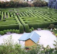 Westbury Maze and Tea Room - Accommodation BNB