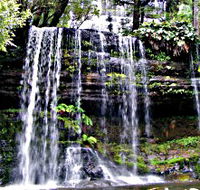 Mt Field National Park - Accommodation BNB