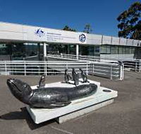 Australia's Antarctic Headquarters - Accommodation BNB