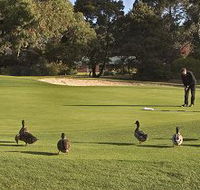Royal Hobart Golf Club - Accommodation BNB