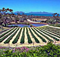 Kate's Berry Farm - Accommodation BNB