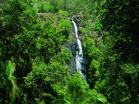 Montville QLD Accommodation BNB