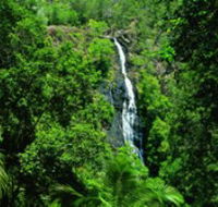 Kondalilla National Park - Accommodation BNB
