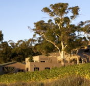 Domaine A / Stoney Vineyard - Accommodation BNB
