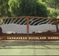 Tasmanian Bushland Garden - Accommodation BNB