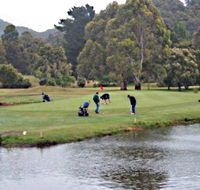Penguin Golf Course - Accommodation BNB