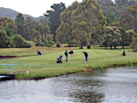 Penguin Golf Course - Accommodation BNB 0