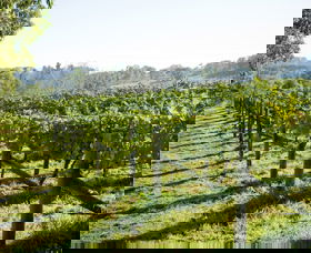 Surveyor's Hill Vineyards - Accommodation BNB 0