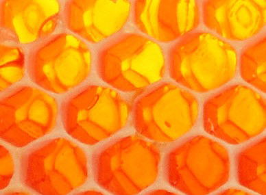 The Honey Pot - Accommodation BNB 0
