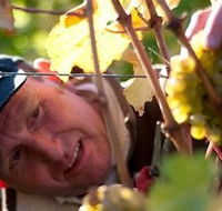 Puddleduck Vineyard - Accommodation BNB