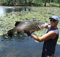 Barra Feeding - Accommodation BNB